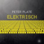 26-07-2013 - mcs_marketing - Peter Plate - cover.jpg